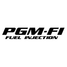 pgm